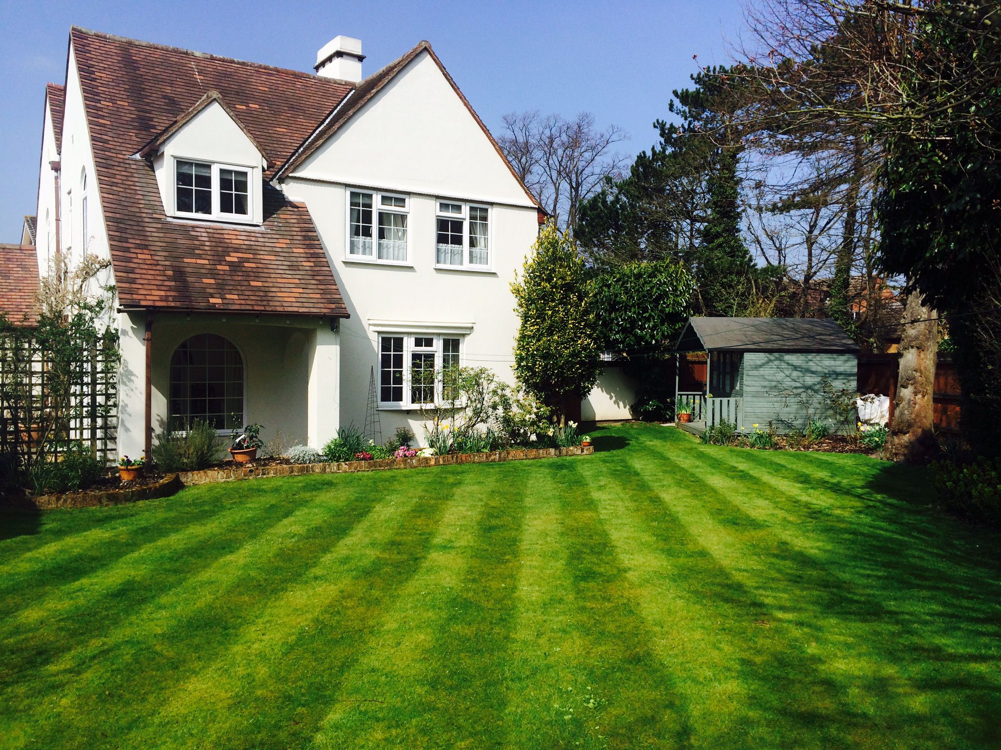 Garden in Cambridge